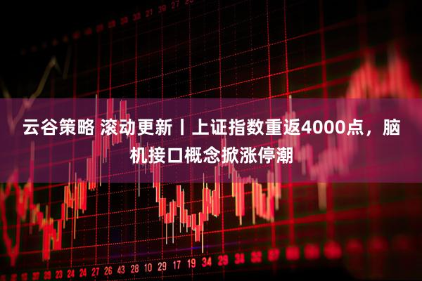 云谷策略 滚动更新丨上证指数重返4000点,脑机接口概念掀涨停潮